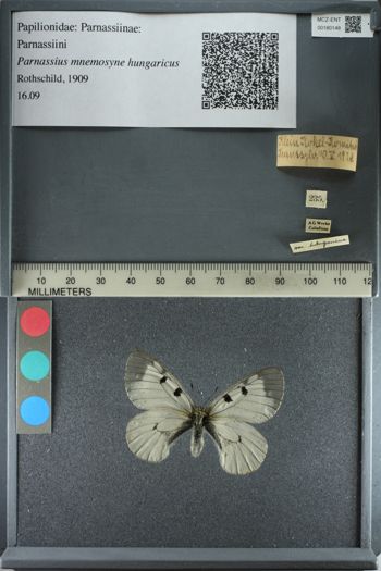 Media type: image;   Entomology 180148